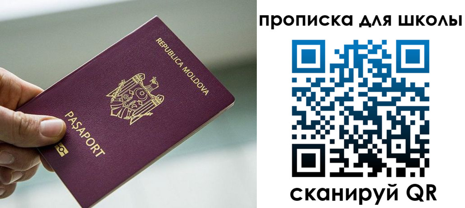 прописка в квартире в Апшеронске